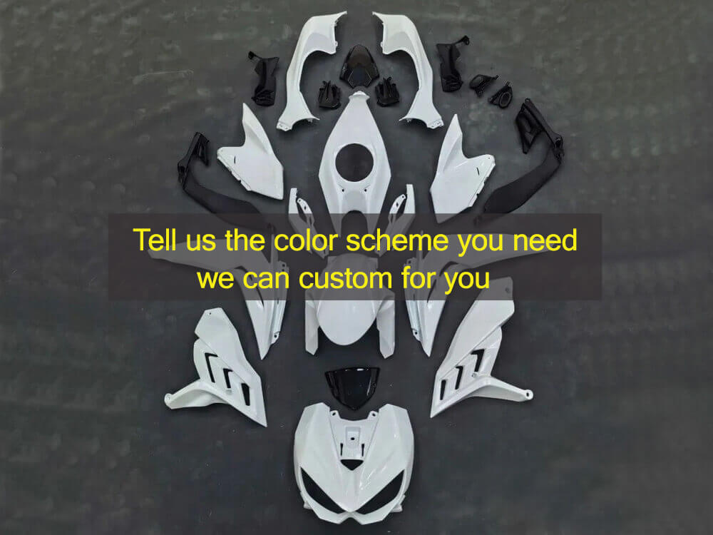 (image for) custom fairing kits fit for Z1100 2026-2027