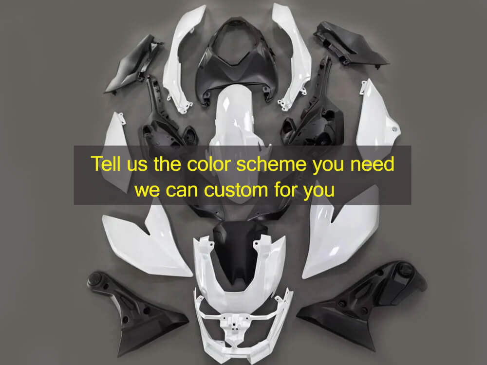 (image for) Custom fairing kits fit for Z500 2025